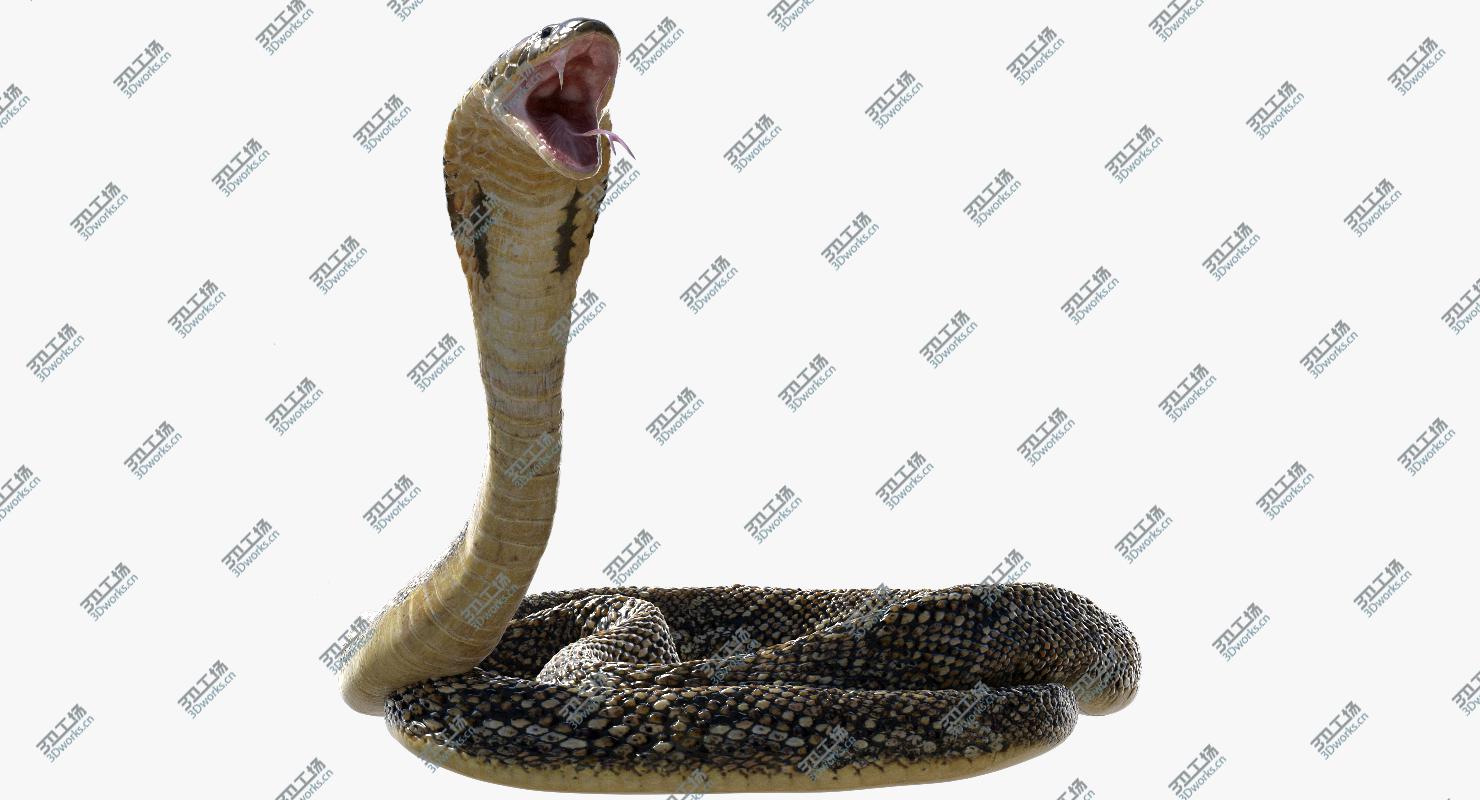 images/goods_img/20210113/3D Snake (Rigged)/1.jpg